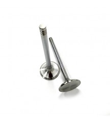 Exhaust valve 20798533